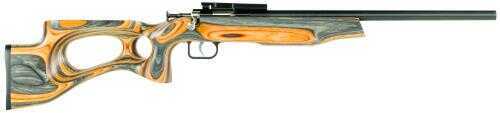 Crickett Single Shot 22 Long Rifle Tan and Black Laminated Stock 16.125" Barrel Thumbhole Bolt Action