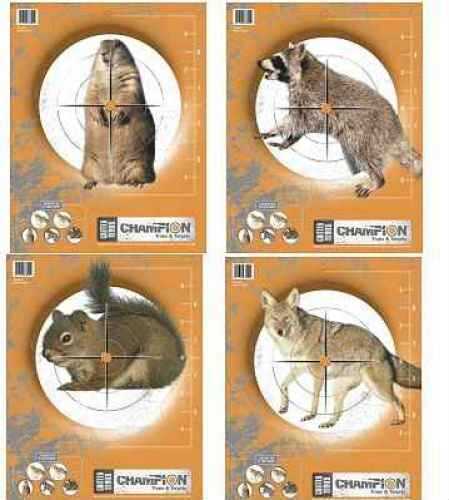 Champion Traps & Targets Critter Practice 11X14 10/Pack 45781