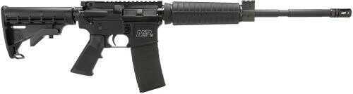 Smith & Wesson M&P15 5.56mm NATO Adjustable Stock No Sights 30 Round Mag Semi-Automatic Rifle 811003