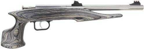 Crickett Chipmunk Hunter 22 Magnum 10.5" Barrel 1 Round Black Laminate Wood Grip Stainless Steel 41103