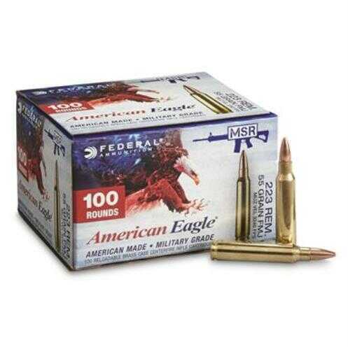 223 Remington 100 Rounds Ammunition Federal Cartridge 55 Grain Full Metal Jacket
