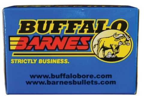 45-70 Government 20 Rounds Ammunition Buffalo Bore 300 Grain Hollow Point