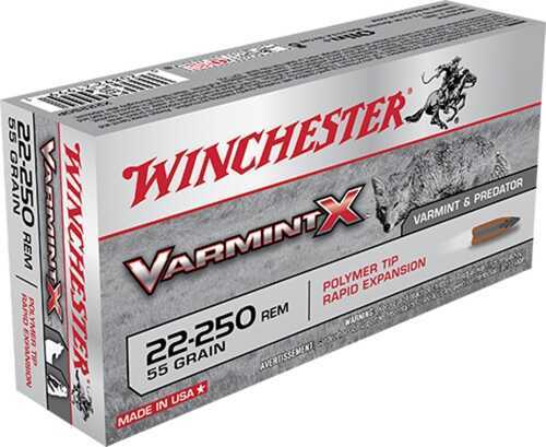 22-250 Remington 20 Rounds Ammunition Winchester 55 Grain Ballistic Tip