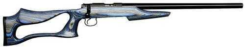 CZ USA 455 Varmint Evolution 17 HMR Rifle 20.5" Barrel 5 Round Blue/Gray Hardwood Laminate Bolt Action 02144