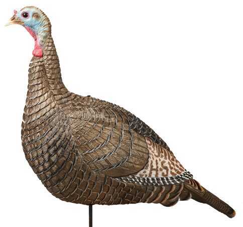 Hunter Specialties Hunters Suzie Snood Turkey Decoy with Dual Position Stake 07600