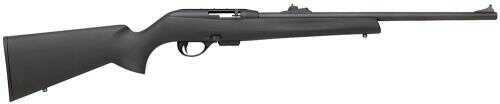 Remington 597 Standard 22 Magnum 20" Barrel 8 Round Synthetic Stock Blued Semi Automatic Rifle 6560