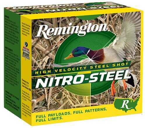 10 Gauge 250 Rounds Ammunition Remington 3 1/2" oz Steel #2