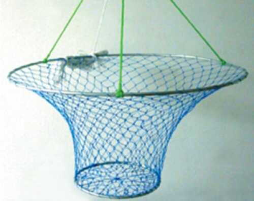 Wright & McGill Taitex Pier Big Crab/Fish Net Heavy Duty 2 Ring