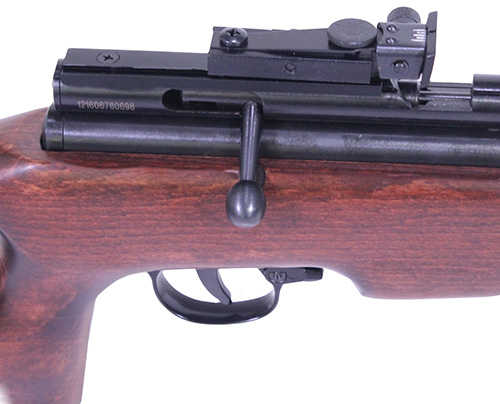 Beeman SAG CO2 Air Rifle .177 Caliber with Thumbhole Stock Md: AR2078-177