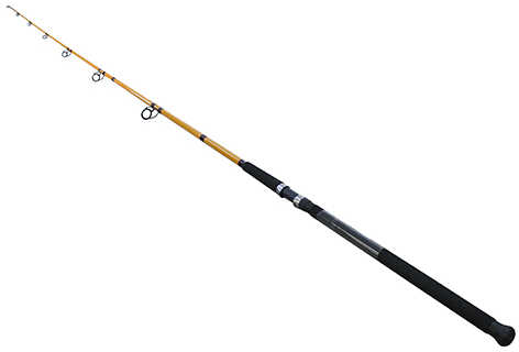 Daiwa FT Surf Spinning Rod 11 Length 2 Piece 10-25 lb Line Rating Mediu Power Fast Action Md: FTS
