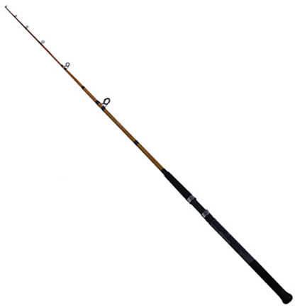 Daiwa FT Surf Spinning Rod 10 Length 2 Piece 10-20 lb Line Rating Mediu Power Fast Action Md: FTS