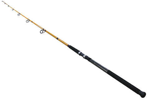Daiwa FT Surf Spinning Rod 9 Length 2 Piece 8-20 Lb Line Rating Medium Power Fast Action Md: FTS9
