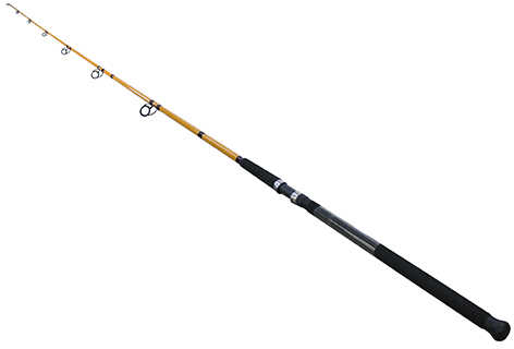 Daiwa FT Surf Spinning Rod 9 Length 2 Piece 8-20 Lb Line Rating