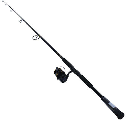 Daiwa BG Saltwater Pre-Mounted Spinning Combo 8' Length, 2 Piece Rod, 7 Bearings, Medium Power Md: BG4000/
