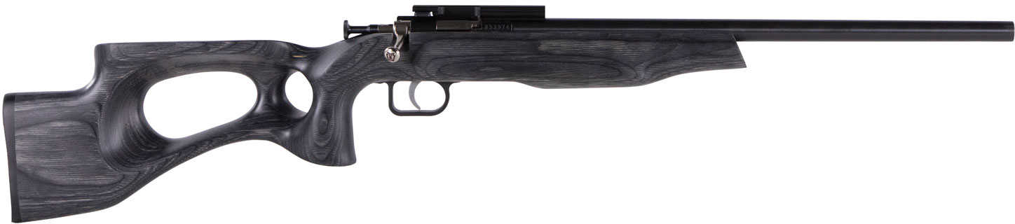 Crickett Black Target Rifle 22 LR 16" Tapered Bull Barrel Blued Metal Finish Fixed Thumbhole Laminate Stock