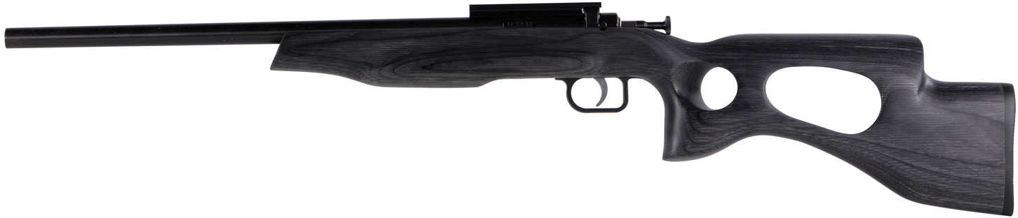 Crickett Black Target Rifle 22 LR 16" Tapered Bull Barrel Blued Metal Finish Fixed Thumbhole Laminate Stock