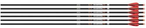 Easton Arrow 6.5mm Match Grade 340 with 3" AAE Hybrid Vanes 6 Pack