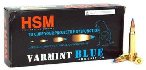 HSM 223 Remington 55 Grain Ballistic Tip - 20 Rounds for Precision Performance