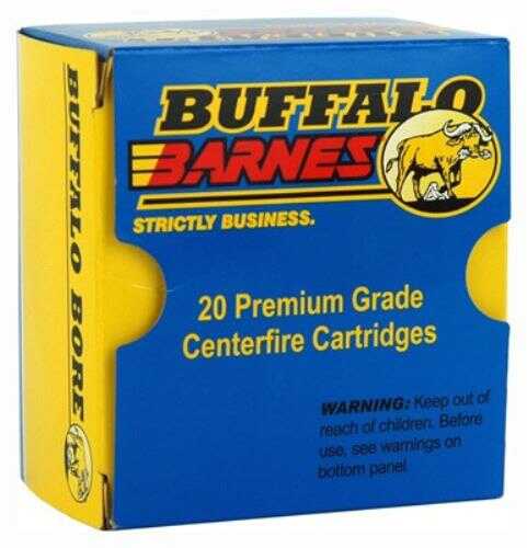 40 S&W 20 Rounds Ammunition Buffalo Bore 140 Grain Hollow Point
