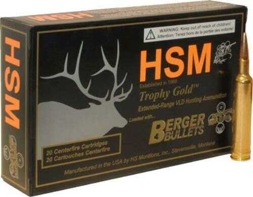 243 Winchester 20 Rounds Ammunition HSM 95 Grain Hollow Point