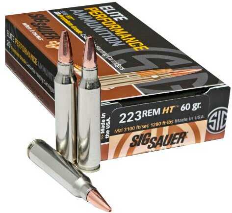 <span style="font-weight:bolder; ">223</span> Remington 20 Rounds Ammunition Sig Sauer 60 Grain Lead Free