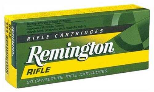 243 Winchester 20 Rounds Ammunition Remington 80 Grain Soft Point