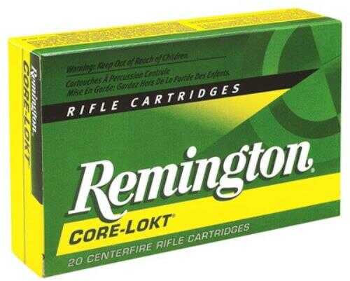 243 Winchester 20 Rounds Ammunition Remington 100 Grain Soft Point