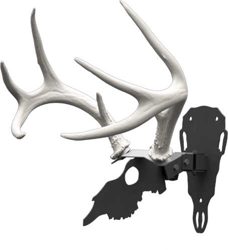 Hs Shed Antler Mounting Kit-img-0