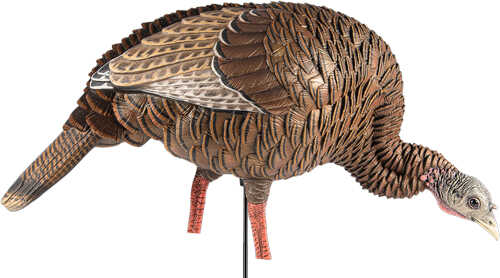 Avian X HDR Feeding Hen Decoy-img-0