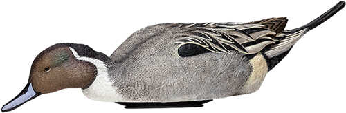 Avian X Power Shaker Pintail Surface Feeder Decoy