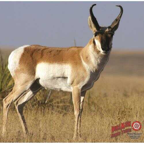DuraMesh Archery Targets Mesh Antelope 25"X32"