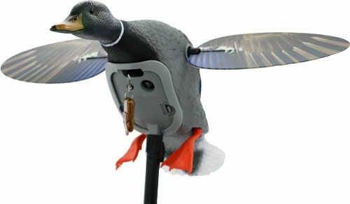 MOJO King Mallard Drake Decoy