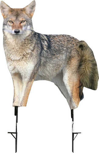 Montana Decoy Coyote Song Dog-img-0