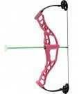 Nxt Generation Nitro Blazer Compound Bow Pink With 3 Arrows