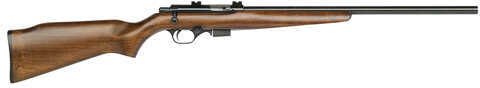 Mossberg 817 17 HMR 21" Heavy Barrel 6 Round Wood Stock Bolt Action Rifle 38184