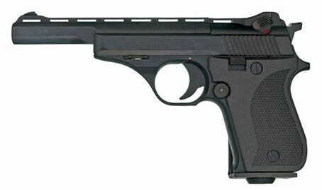 Phoenix Arms Rangemaster Pistol Semi Automatic 22 Long Rifle 5" Barrel 10 Round HP22ARMB