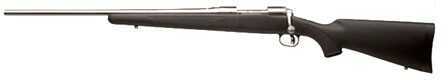 Savage Arms 116 FHLSS 6.5x284 Norma 22" Stainless Steel Barrel Weather Warrior AccuTrigger AccuStock Bolt Action Rifle 19458