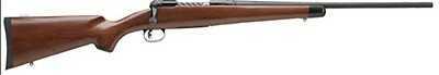 Savage Arms 11LTWT Hunter 243 Winchester 22" Barrel 4 Rounds Short Action DBMag Bolt Action Rifle 19206