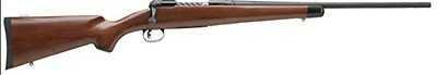 Savage Arms 11LTWT Hunter 243 Winchester 22" Barrel 4 Rounds Short Action DBMag Bolt Rifle 19206