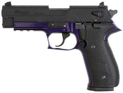 Sig Sauer Mosquito 22 Long Rifle 3.9" Barrel 10 Round Deep Purple Frame Semi Automatic Pistol MOS22PURP