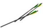 Excalibur Carbon FireBolts w/Illuminated Nocks 20 in 3 pk Model: 22CAVIL-3