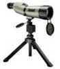 Bushnell Natureview 20-60x65mm, Tan, Porro Prism 786065