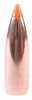 Nosler 22 Caliber (.224) 55 Grains Spitzer Ballistic Tip Varmint (Per 250) 39560