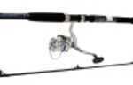 Daiwa D-Wave Saltwater Spinning Combo Md: DWA40-B/F802M