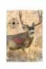 Birchwood Casey Pregame Targets Mule Deer, 16.5" x 24" (Per 3) 35402
