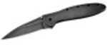 Kershaw Leek Blackwash Md: 1660BLKW