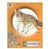 Champion Traps & Targets Critter Practice 11X14 10/Pack 45781