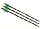 Excalibur Quill Crossbow Bolts w/Illuminated Nocks 16.5in 3pk Model: 22QV16IL-3