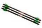 Excalibur Quill 16.5" Carbon Arrows - (Package Of 6) Md: 22QV16-6