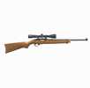 Ruger 10/22 22 LR W/Viridian Eon rifle 18.5 in barrel. rd capacity blued polymer finish